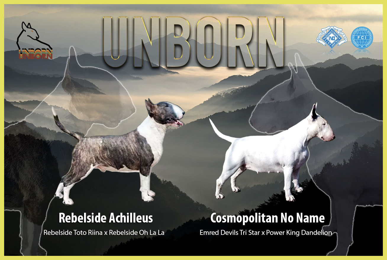 Cucciolata Unborn estate 2025