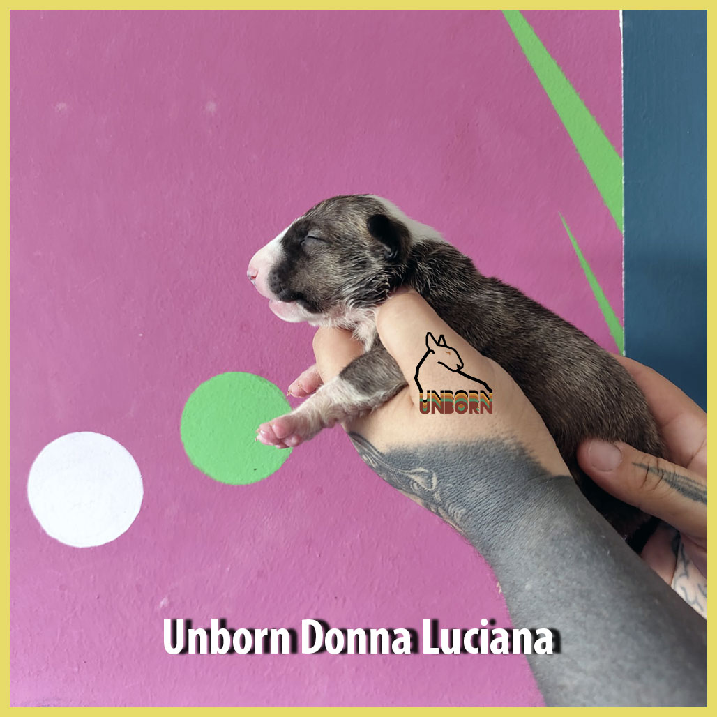 Unborn_Donna_Luciana_9_days