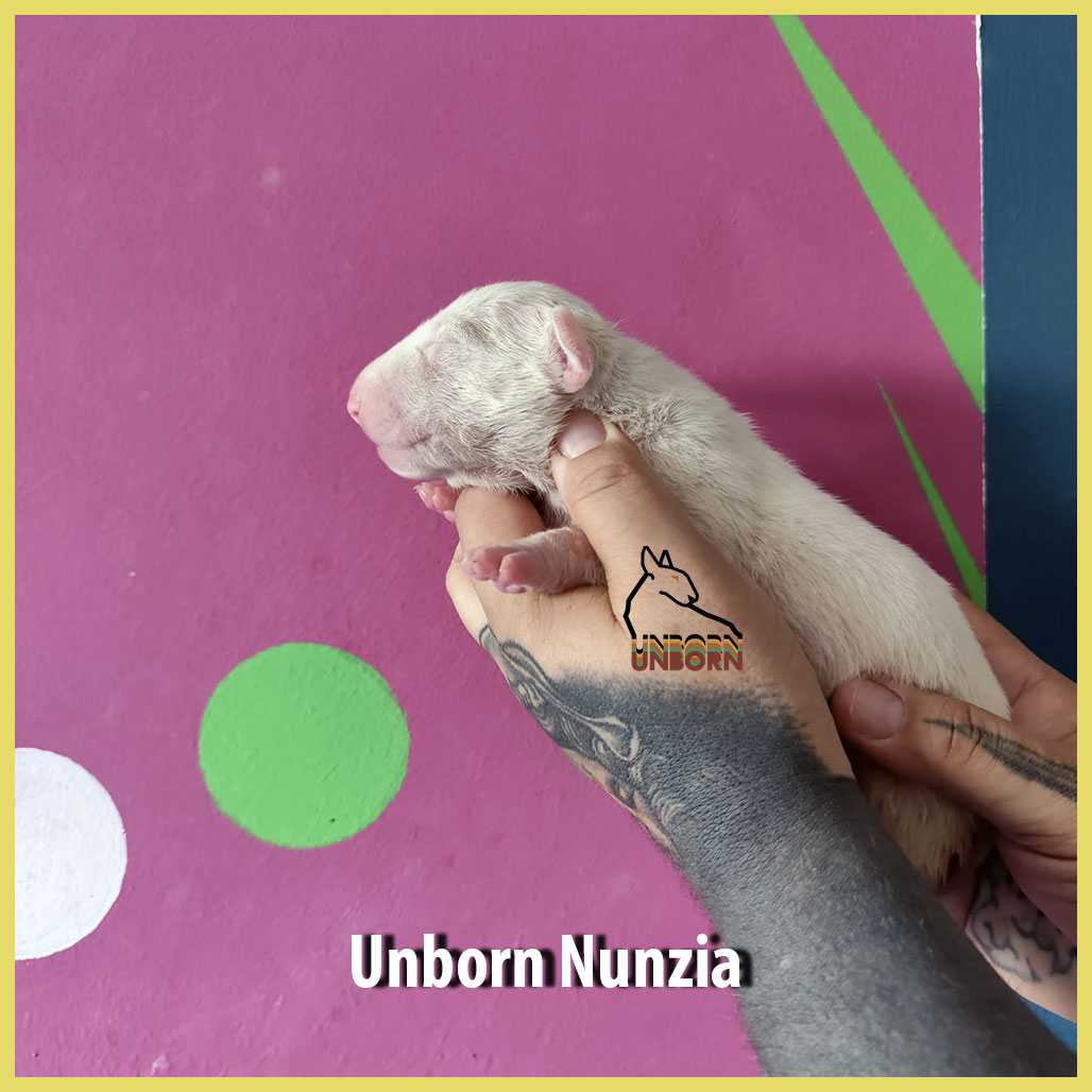 Unborn_Nunzia_9_days