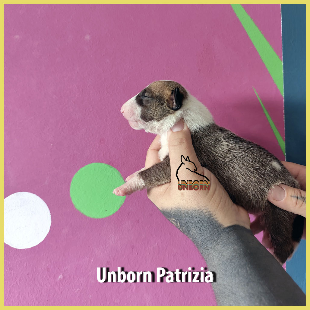 Unborn_Patrizia_9_days