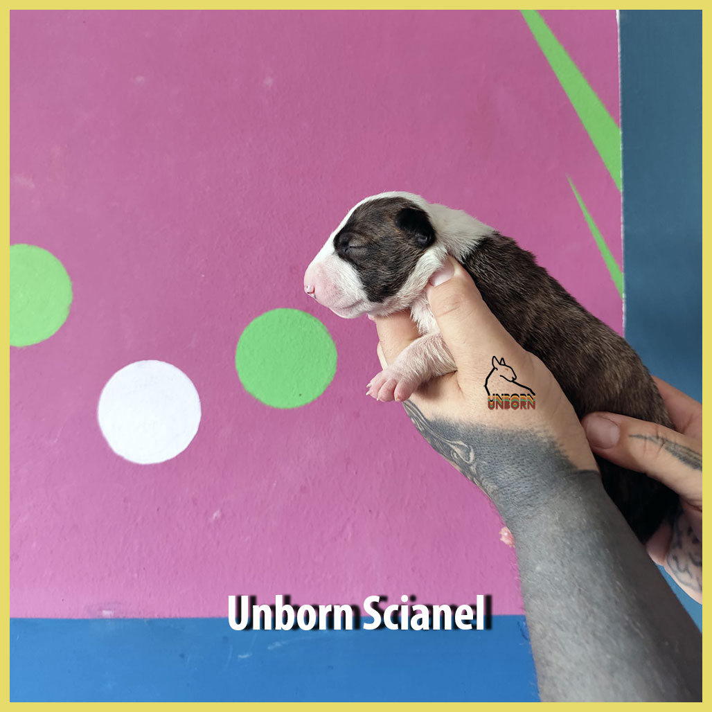 Unborn_Scianel_9_days
